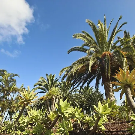 Tocama بيت للعطل La Vera-Carril